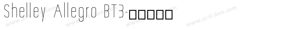 Shelley Allegro BT3字体转换
